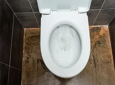 Desentupimento de Vaso Sanitário na Granja Julieta